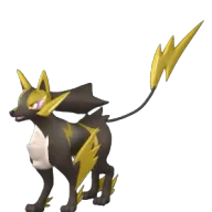 Rayhound
